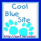 Cody's Cool Site Award